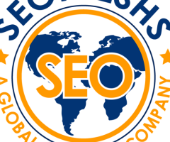 Professional SEO Outreach and Link Building Services for Sustainable Growth